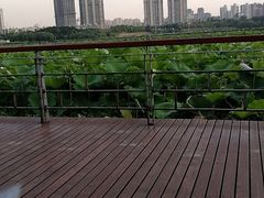 -月湖风景区