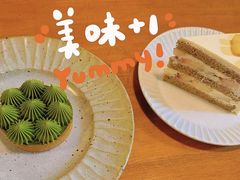 -猫里有甜