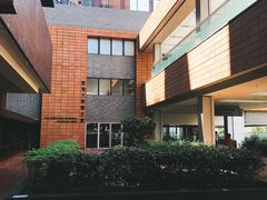 -香港大学