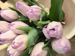 -双季花艺园艺市场(浦东店)