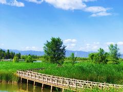 -野鸭湖国家湿地公园