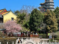 -湛山寺