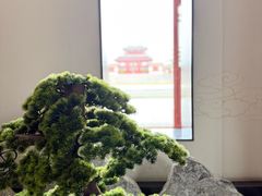 -洛阳古墓博物馆