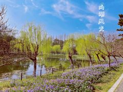 -尚湖风景区
