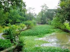 -广西壮族自治区药用植物园
