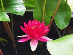 -龚家花园农家乐休闲别墅