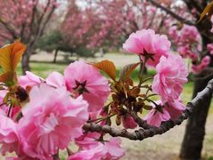 -莲花池公园