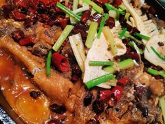 -老板恋上鱼(荣盛广场店)