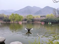 -西安秦岭野生动物园