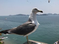 -海驴岛(荣成市)