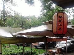 -南京市溧水区傅家边梅花山弄山庄