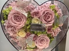 -ROSEONLY诺誓(广州K11店)