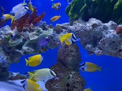 -海合安武汉极地海洋公园