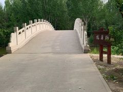 -塘沽森林公园