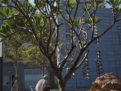 -石炮台公园
