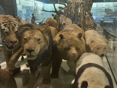 -浙江自然博物院(杭州馆)