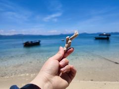 -三亚西岛海洋文化旅游区