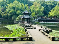 -忠山公园