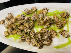 -高佳庄·舟山海鲜(海景旗舰店)