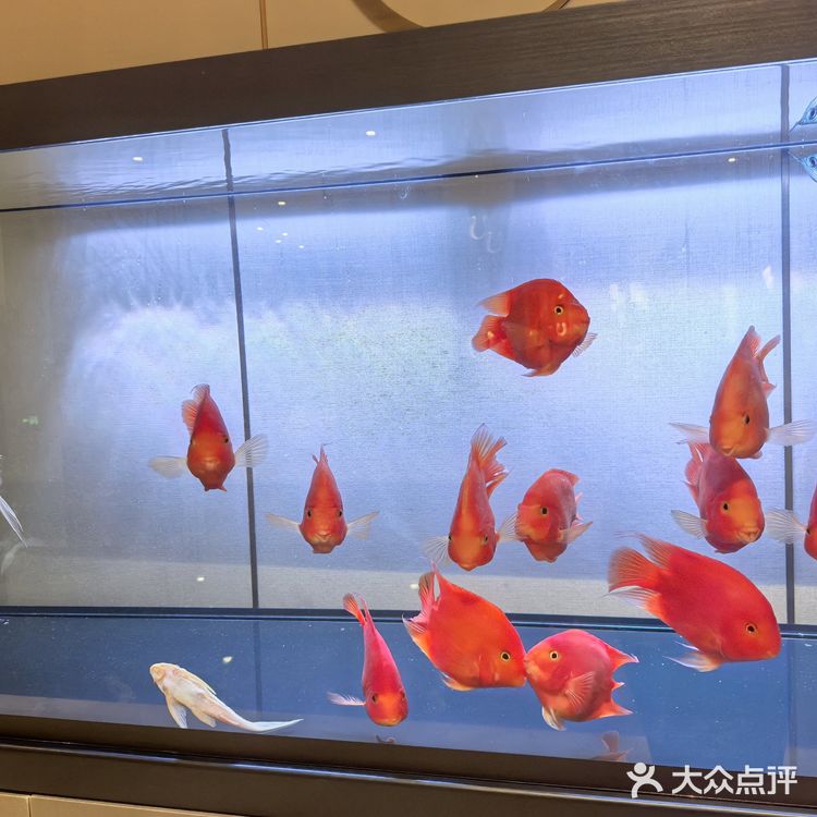环境超赞的餐厅