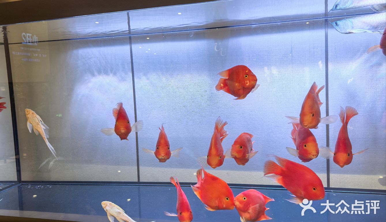 环境超赞的餐厅