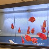 环境超赞的餐厅