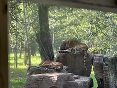 -秦皇岛野生动物园