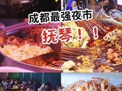 -抚琴第一烤(抚琴地铁站A口店)
