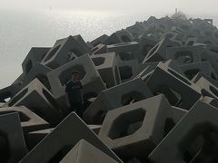 -东疆建设开发纪念公园