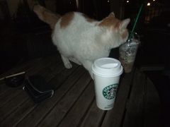 DSCF1973-星巴克臻选(广州沙面店)