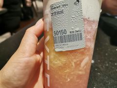 -喜茶(迪士尼小镇DP店)