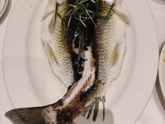 -稻香酒家·34年老字号·港式粤菜(侨光店)