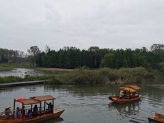 -溱湖国家湿地公园