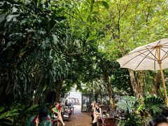 -Fern Forest Cafe