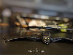 batman-black rainbow coffee