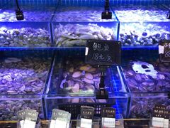 -渔民船说·北塘海鲜·天津菜·海肠捞饭(北塘古镇店)