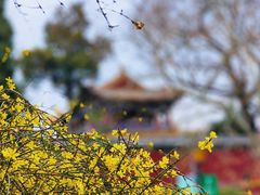 -北海公园
