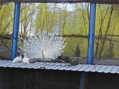 -森林公园(尖草坪区)