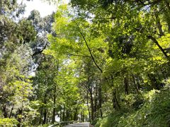 -金堂县云顶石城风景区