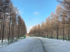 -塞罕坝国家级自然保护区