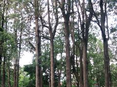 -西昌邛海宾馆