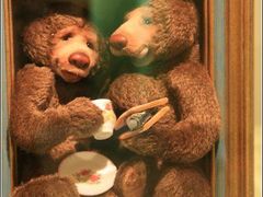 -济州岛泰迪熊博物馆