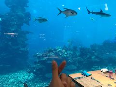 -海棠湾洲际-涛·海底餐厅·美人鱼·自助餐·海底隧道