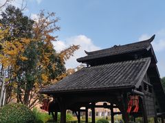 -活水公园