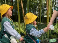 -北京市邮政管理局海慧寺幼儿园