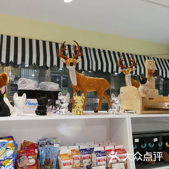 台湾流川丰宠物生活会馆图片-北京宠物店-大众点评网
