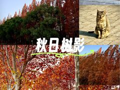 -南京金牛湖风景区