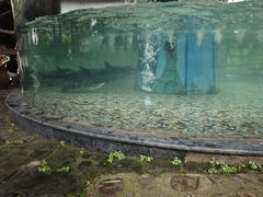 -木子山庄·安徽省老字号·中国炖锅宴