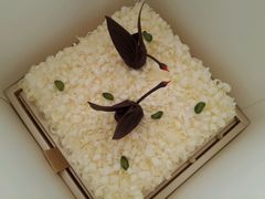 -BLACKSWAN黑天鹅(环球店)