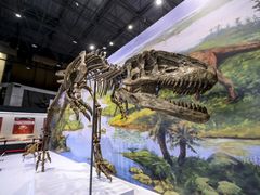 -国家自然博物馆